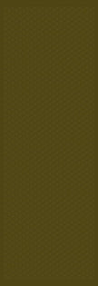 Aida Olive