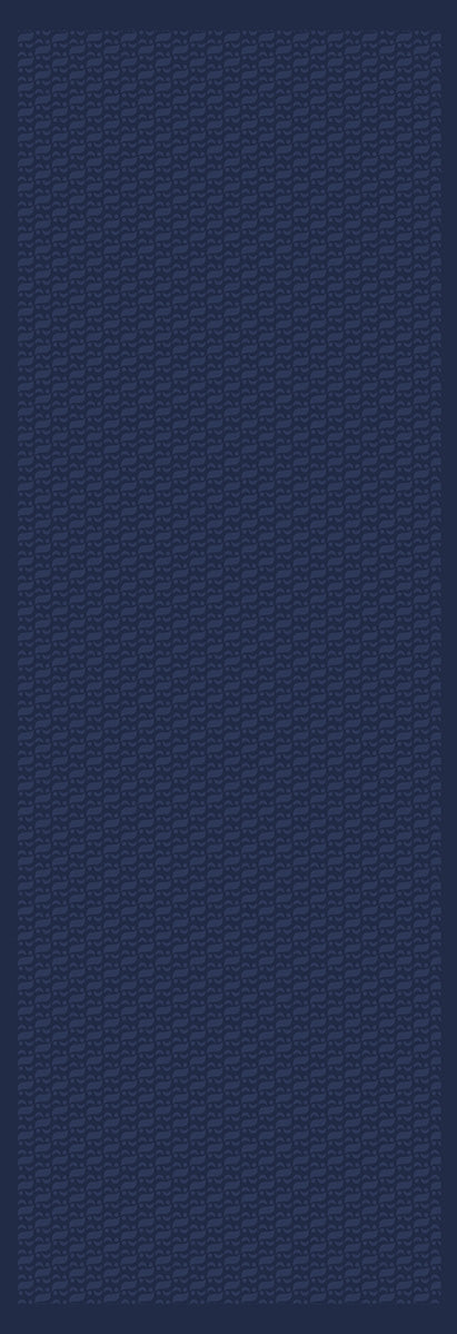 Aida Navy