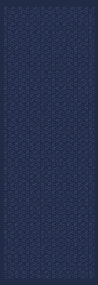 Aida Navy